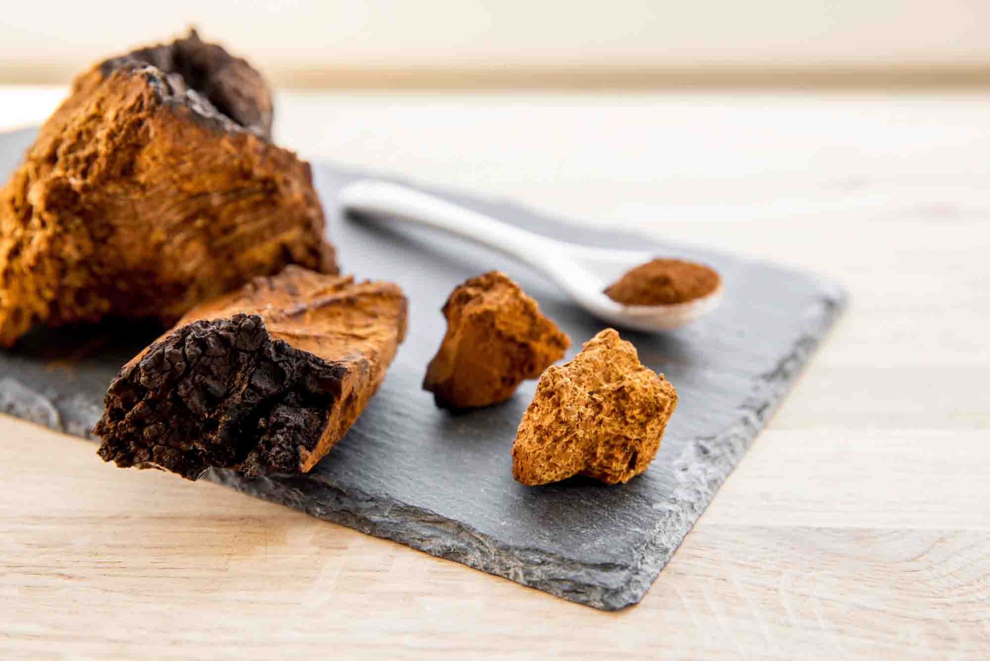 Organic Immune Support with Chaga - Image 4